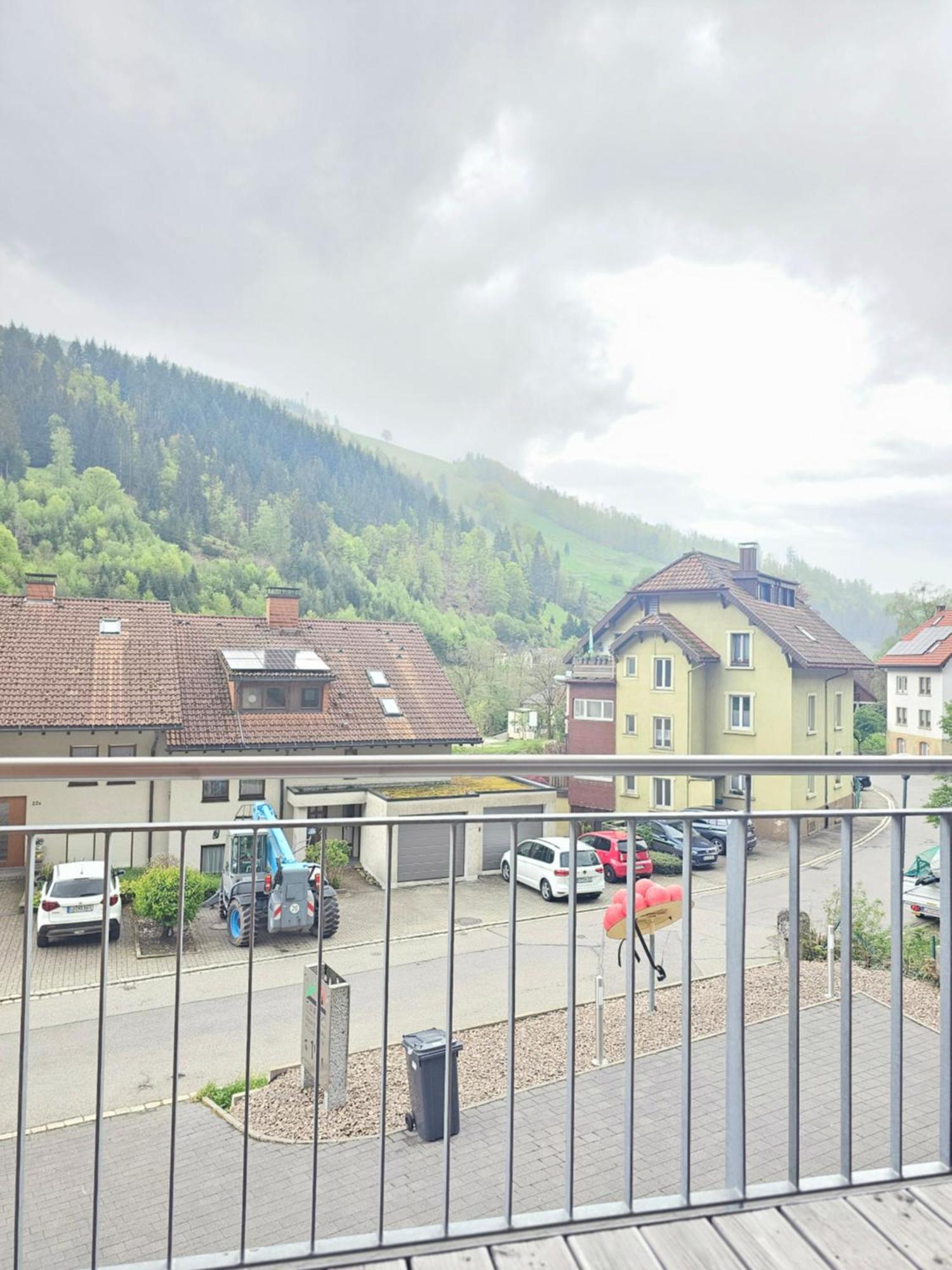 Black Forest I Sauna Auf Dem Balkon I Boxspring I Nespresso I Ausblick I Wasserfaelle Im Ort Todtnau Extérieur photo